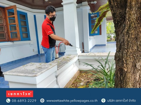 สเปรย์สมุนไพรฉีดพ่นกำจัด มด แมลง